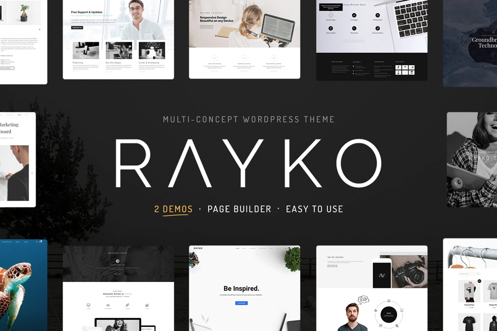 Rayko WordPress Theme